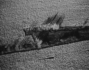 Image description is not available for 1995.014